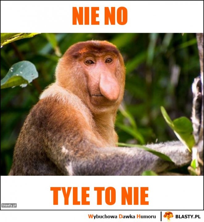 Nie no memy, gify i śmieszne obrazki facebook, tapety, demotywatory zdjęcia