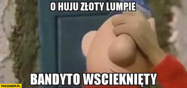 o-huju-zloty-lumpie-bandyto-wsciekiety-o