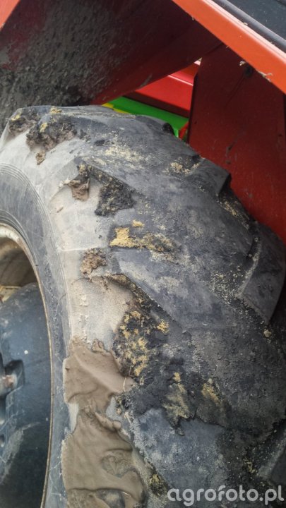 https://img.agrofoto.pl/monthly_2018_03/opona_l_b50890de27b0894d7574a7d55e8b8797.jpg