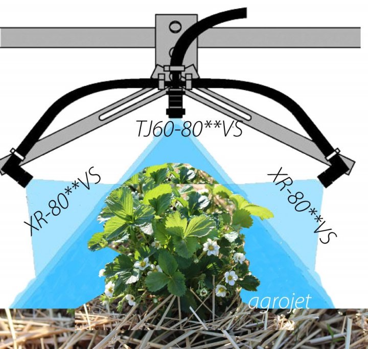opryskiwanie-3-dyszami-teejet-truskawek-system-fragaria.jpg