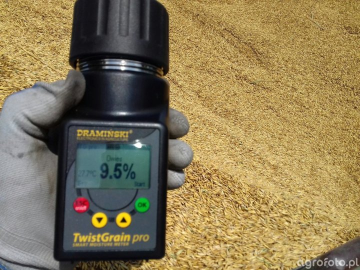 owies_l_a97f517d5eb67495b3296d81b02acc32