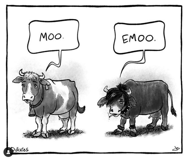 Kliknij i zobacz więcej!