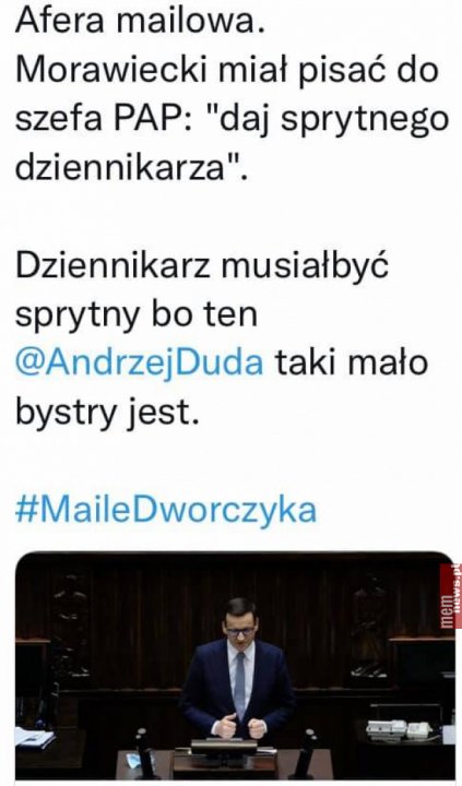 Nie grzeszy inteligencją