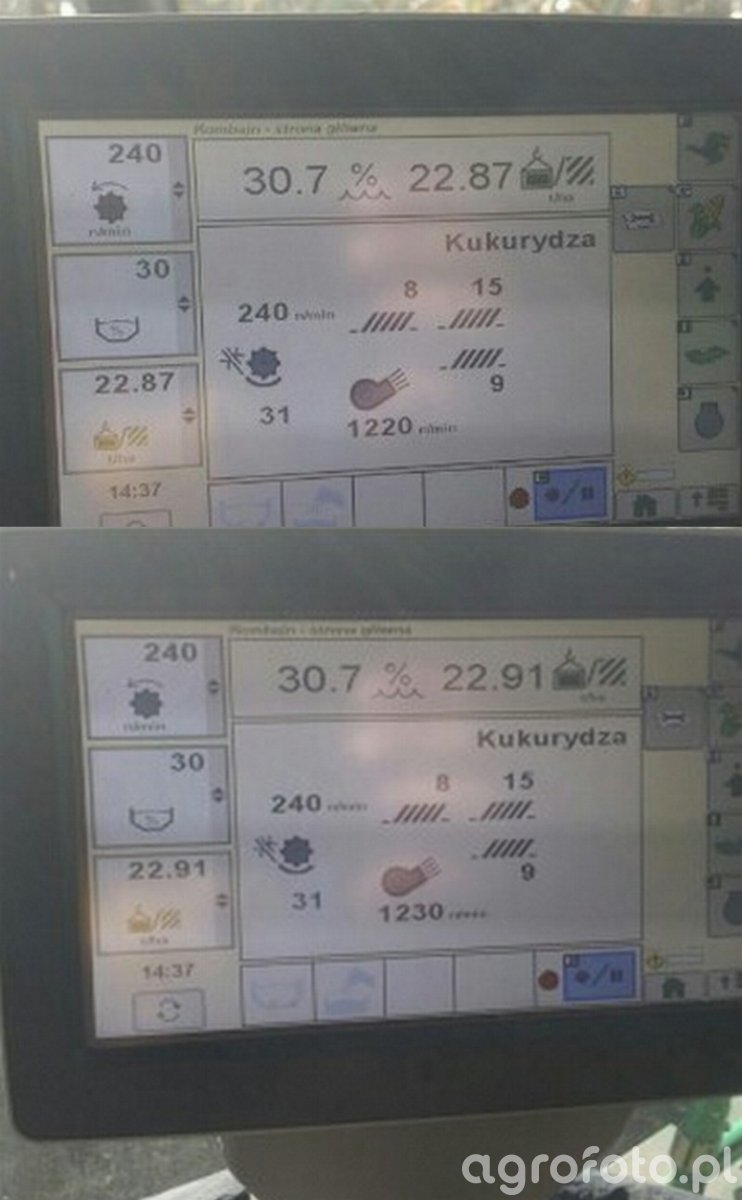 plon_kukurydzy_l_e073fa8eeb7f509f6ec212a