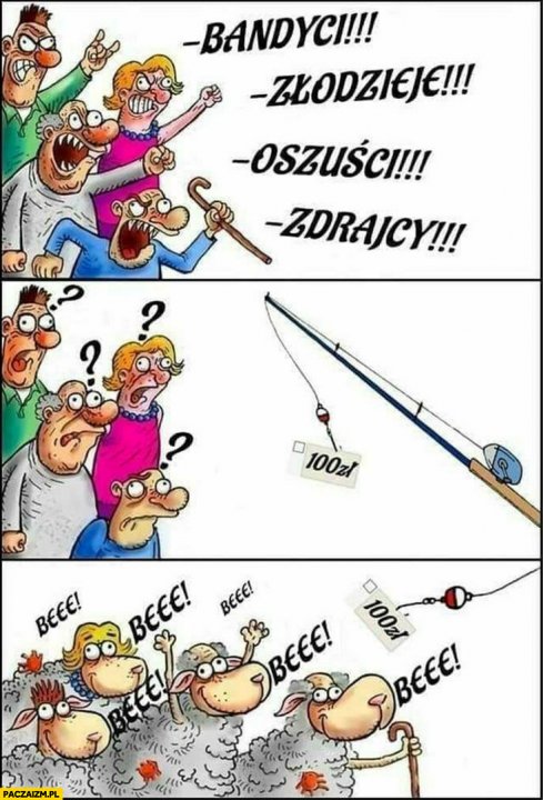 Polacy obywatele: bandyci, złodzieje, oszuści, zdrajcy, dostają socjal 100  zł potulni jak baranki owieczki bee - Paczaizm.pl