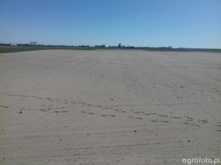 pole_l_1fb100df6913c6b748d5d8305f506246.