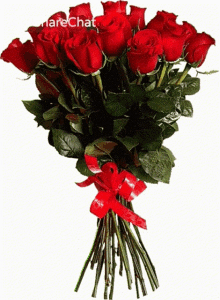 red-rose-rose-bouquet.gif
