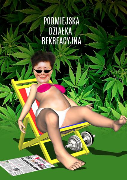 Znalezione obrazy dla zapytania gronkiewicz waltz marihuana