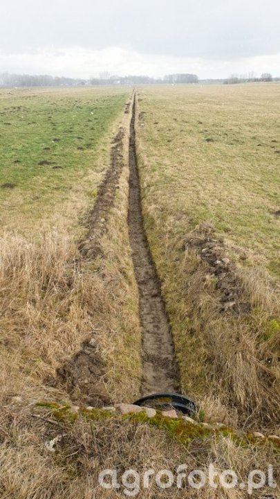 https://img.agrofoto.pl/monthly_2020_03/row-melioracyjny_l_bcd37688b81d7d1ec7dbce02c6622964.jpg
