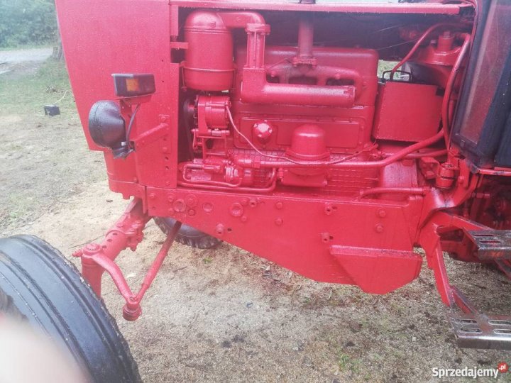 Sprzedam białoruś jumz 6kl Koszalin - Sprzedajemy.pl