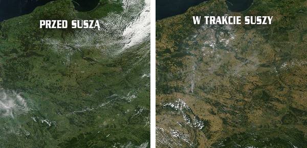 Polsce grozi największa susza od ponad 100 lat « Wolne Media