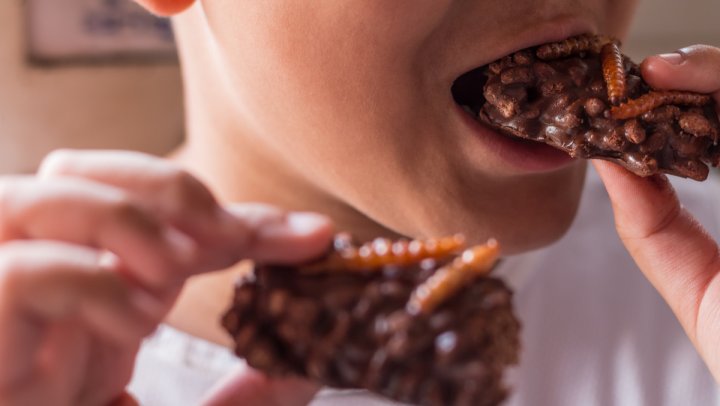 Polacy pokochali świerszcze na swoich talerzach. Carrefour poszerza ofertę