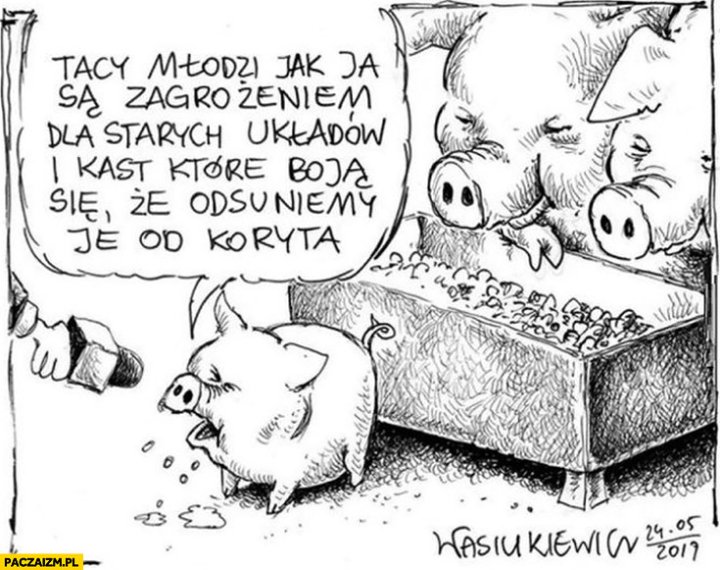 Świnka świnia prosiak tacy młodzi jak ja są zagrożeniem dla starych układów i kast, które boja się, że odsuniemy je od koryta