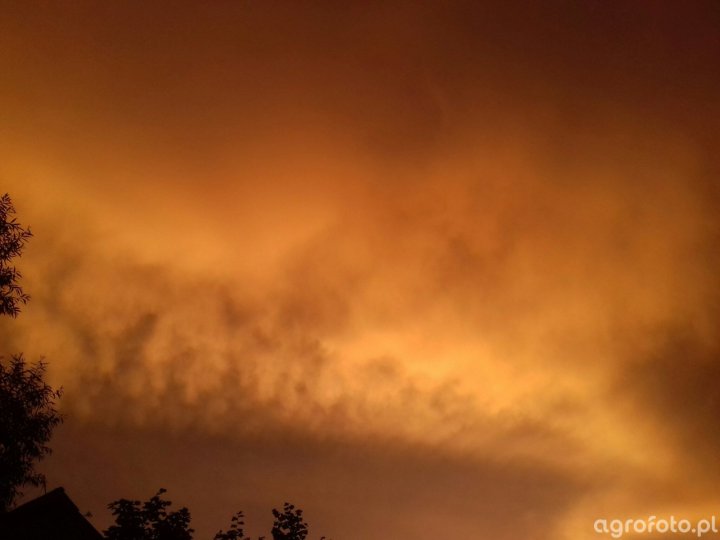 tak-jakos-pomaranczowo-_l_61d524d2530666