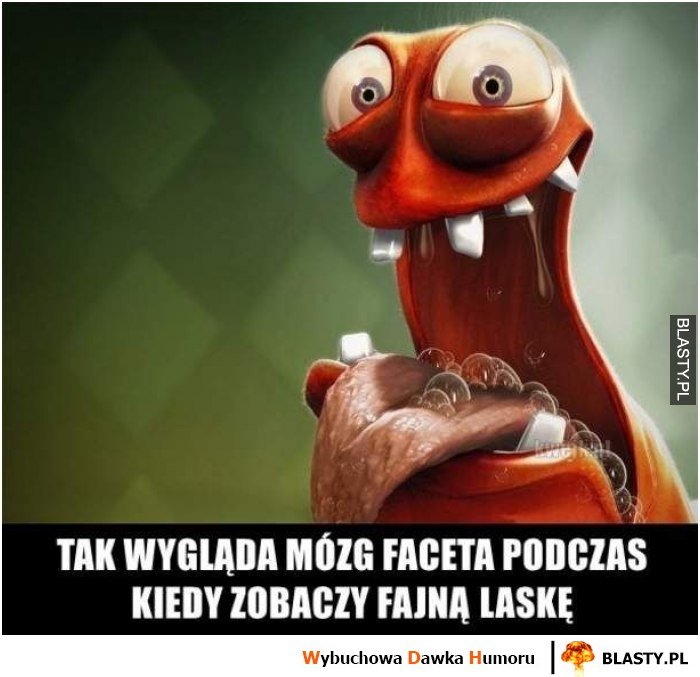 Tak wygląda mózg faceta kiedy zobaczy fajną laskę