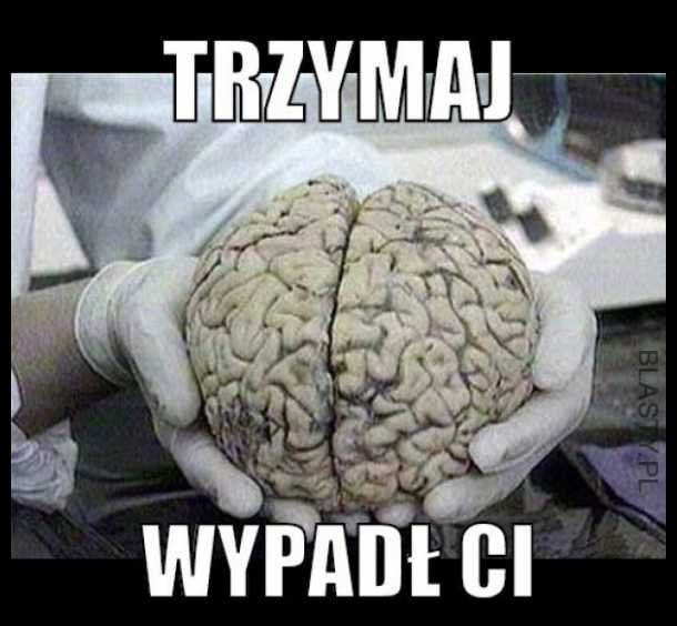 20+ memów - nie masz mozgu najlepsze śmieszne memy i demotywatory facebook  - nie masz mozgu