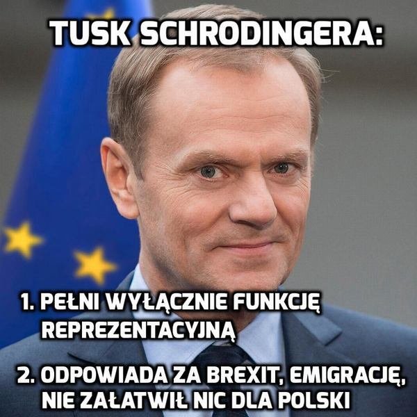 tusk07.jpg