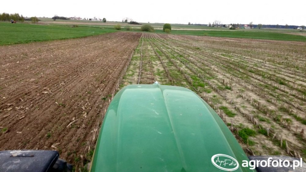 tybalt-siew-bezposredni_32212_358_663474