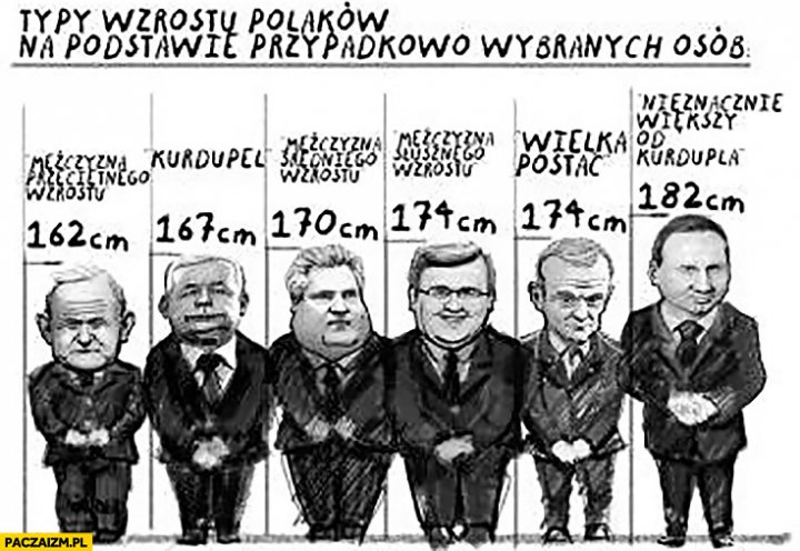 typy-wzrostu-polakow-na-podstawie-polity
