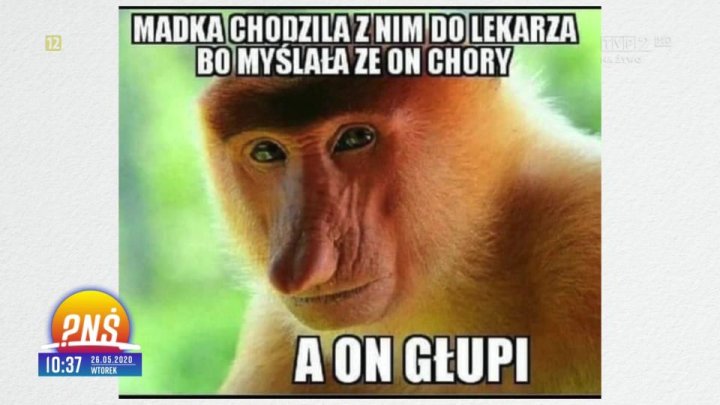 Dzięki memom z "typowym Polakiem" możemy pomóc nosaczom?