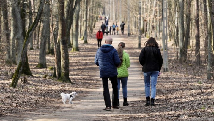 Koronawirus: jak bezpiecznie wybrać się do lasu w czasie epidemii ...