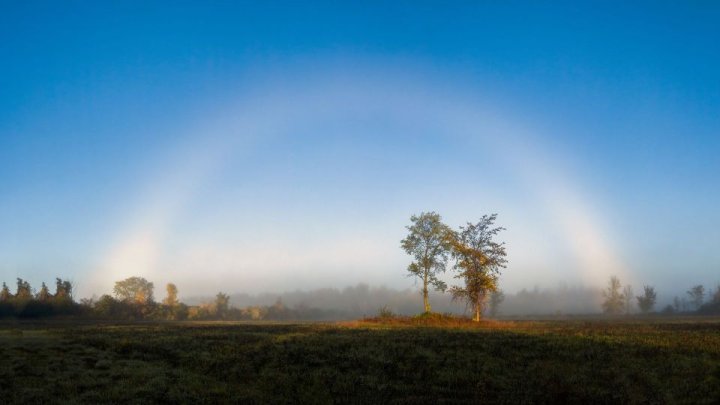 uid_fba8eb7b7aef4942b34c0a97ef8da1dc_wid