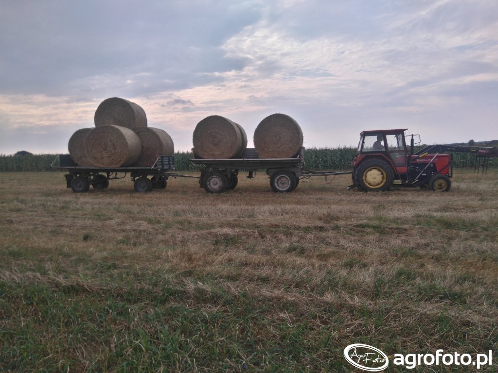 ursus-c-355-autosan-d47a-autosan-d35_152