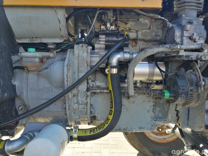 Obraz ciągnik Ursus C-360 3P id:750358 - Galeria rolnicza agrofoto