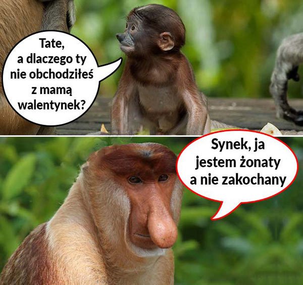 Znalezione obrazy dla zapytania: tata a dlaczego ty z mama nie obchodziłeś walentynek