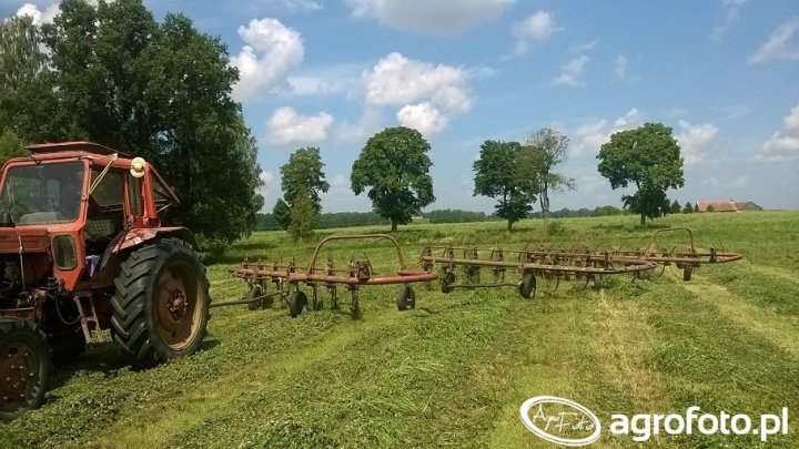 Przetrząsacz Wicher x 3 + mtz - zdjęcie #677038 - Galeria rolnicza agrofoto