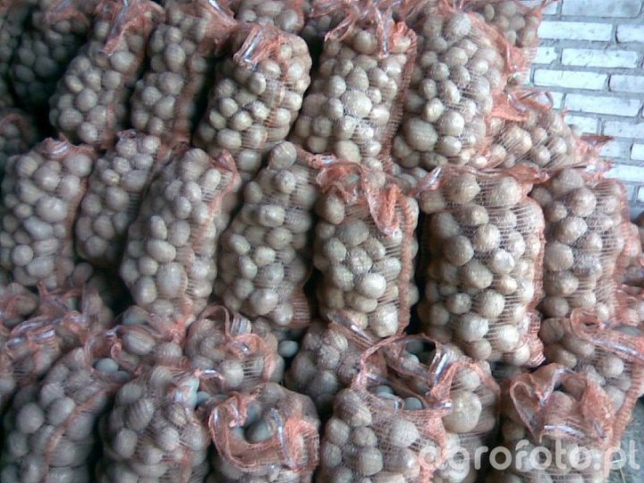 wineta-jpg_e9d56d320fa9a328170258108a086