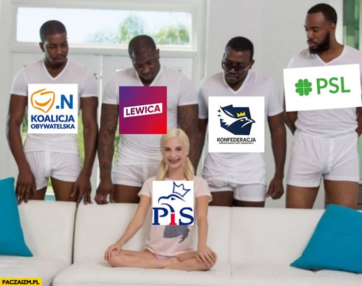 Wszystkie partie vs PiS scena z filmu dla dorosłych - Paczaizm.pl