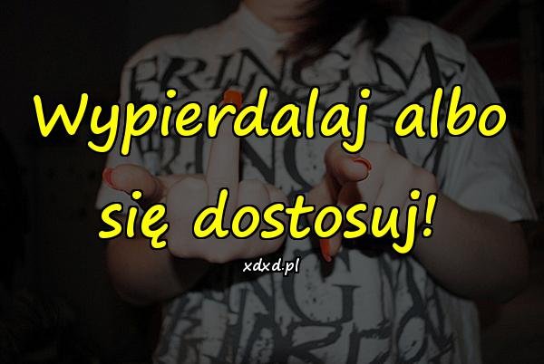 Śmierć, mem, kwejk, śmieszne obrazki - xDxD (63379)