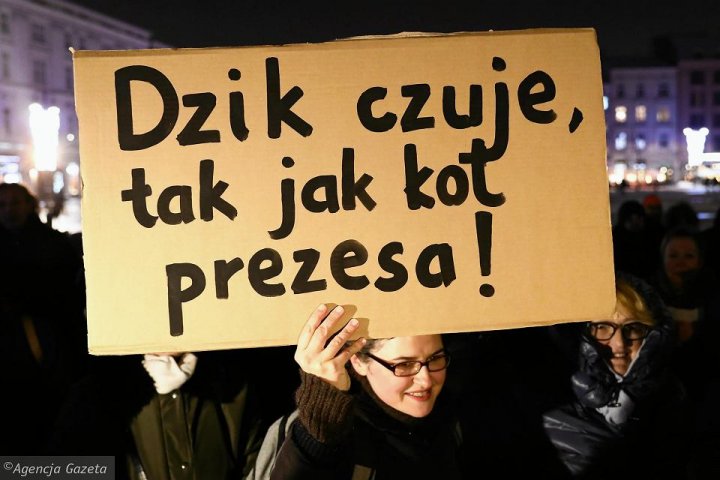 Demonstracja w obronie dzików - 'dzik czuje, tak jak kot prezesa'