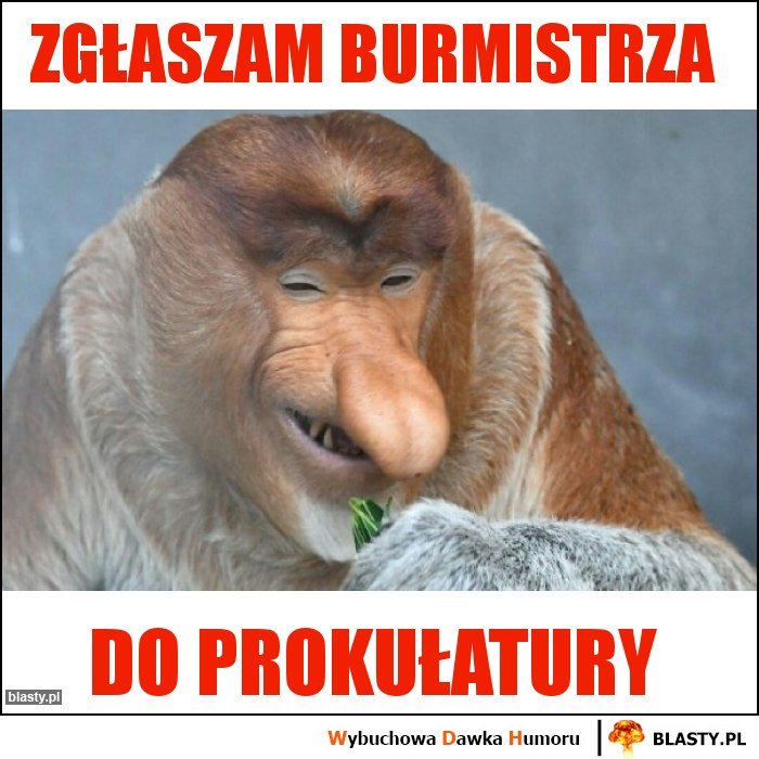 zglaszam-burmistrza_2018-05-24_11-38-56.