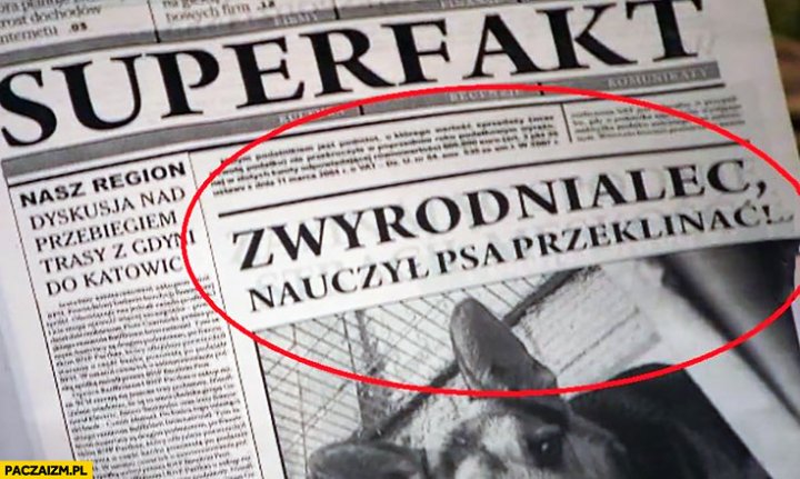 Zobacz obraz źródłowy