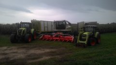 Claas