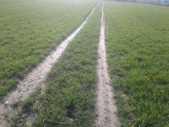 Jeczmień ozimy Wootan