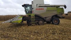 Kukurydza 2017 Class Lexion 750