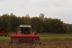 Massey Ferguson 255 & Stegsted