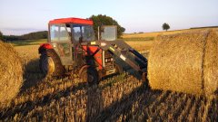 Massey Ferguson 255