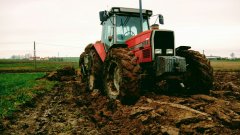 Massey Ferguson 3115