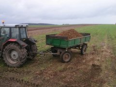 Massey Ferguson 6270