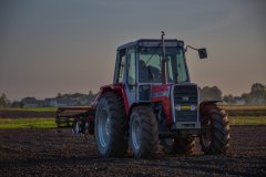 Massey Ferguson 690 + talerzówka