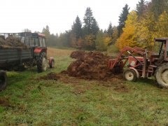 Mf 255 rozrzutnik 3.5t