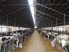 Oboea w Sano Agrar Institut