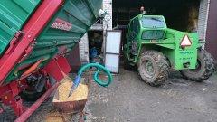 Srutowanie kukurydzy 