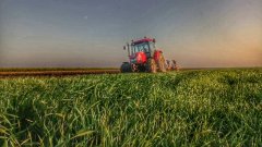 Zetor Forterra 135 16v