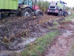 Claas Jaguar & Massey Ferguson