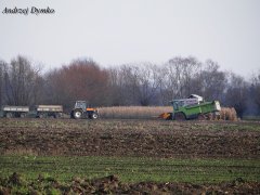 Claas Medion 310